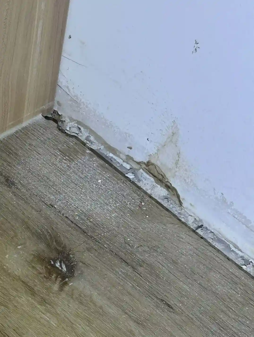 IMG_1406-Combined_page-0003_3_11zon